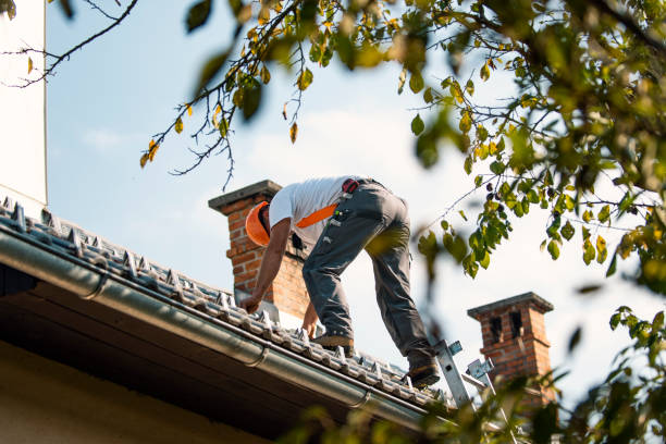 Best Roof Maintenance Services  in Hwatha, IA