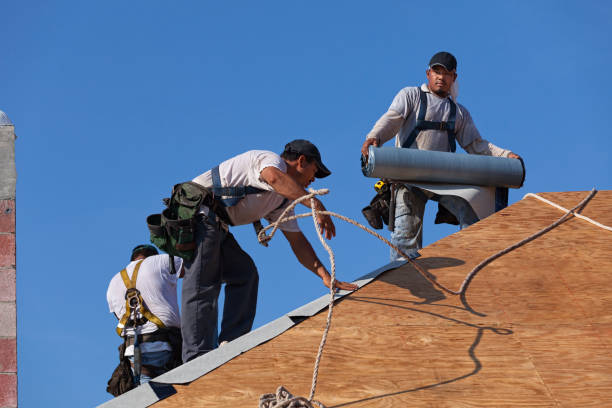 Best Local Roofing Companies  in Hwatha, IA